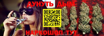 СК Конаково
