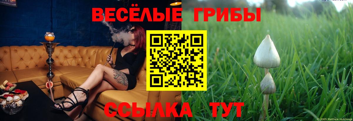 купить наркоту  Вход с VPN  Тавда  Псилоцибиновые грибы ЛСД 